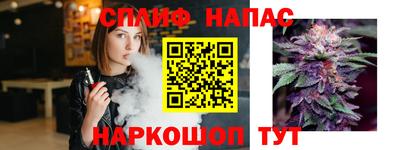 индика Белореченск