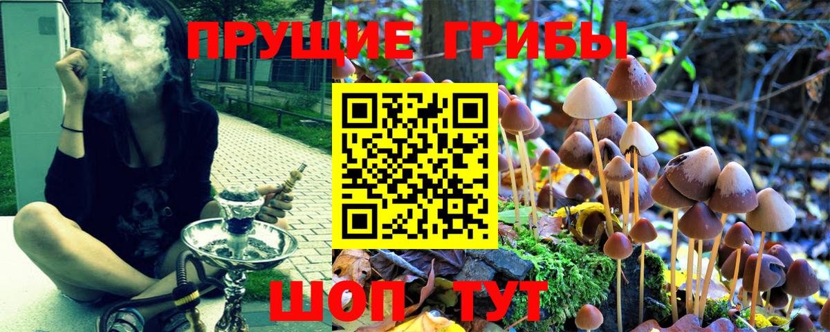 Галлюциногенные грибы Magic Shrooms Малгобек
