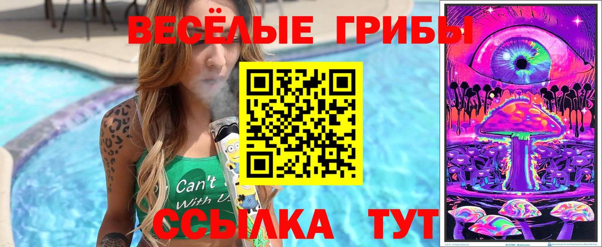 Малгобек  Псилоцибиновые грибы мицелий  Галлюциногенные грибы ЛСД  Вход с VPN 